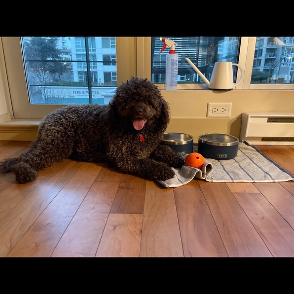 Meet your Posher, Nicolas - Picture 1 of 1